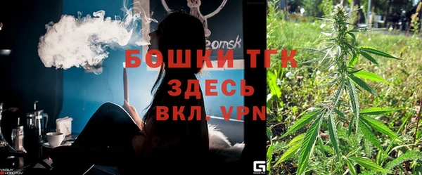 индика Армянск