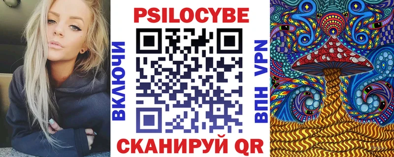 как найти закладки  Судак  Псилоцибиновые грибы прущие грибы 